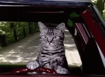 olimontel pbx cat drive